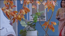 Kumkum Bhagya - 26th May 2024